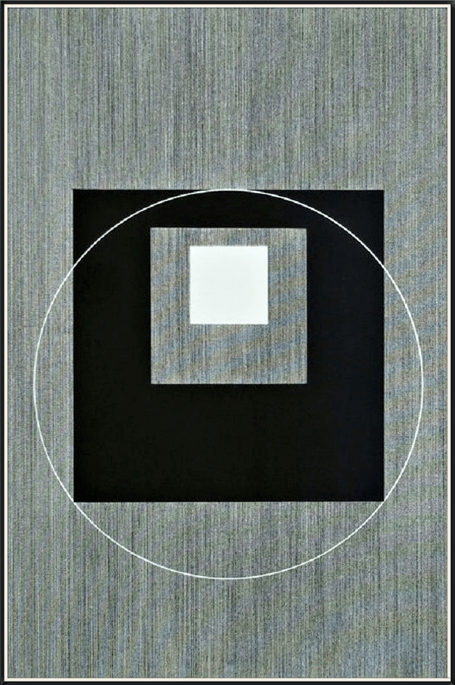 2012 Le cercle de vitruve (acrylique pierre noir)